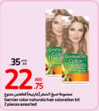 Carrefour Garnier color naturals hair coloration kit 2 pieces assorted offer