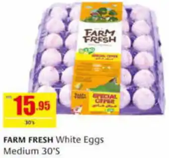 Safeer Market FARM FRESH White Eggs Medium 30'S offer