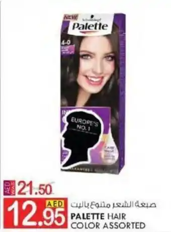 KM Trading PALETTE HAIR COLOR ASSORTED offer