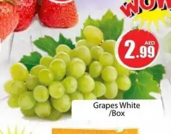 Amber Grapes White /Box offer