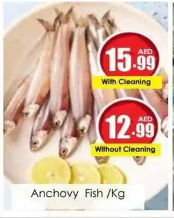Amber Anchovy Fish /Kg Without Cleaning offer