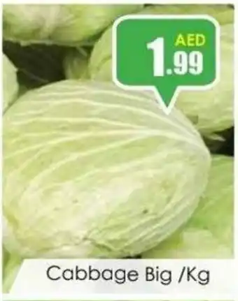 Amber Cabbage Big /Kg offer