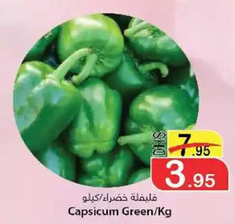 Al Mushrif Co-Operative Society Capsicum Green/Kg offer