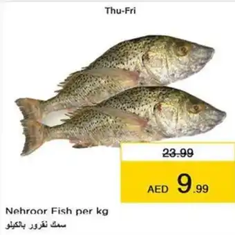Nesto Nehroor Fish per kg offer
