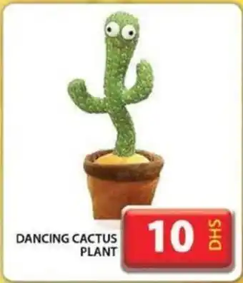 Grand Hyper Market DANCING CACTUS PLANT offer
