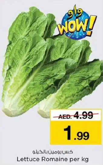 Nesto Lettuce Romaine per kg offer