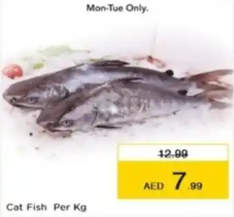 Nesto Cat Fish Per Kg offer