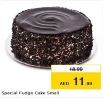 Nesto Special Fudge Cake Small offer