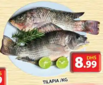Grand Mall Sharjah TILAPIA/KG offer