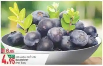KM Trading BLUEBERRY (Per Box) offer