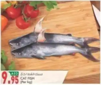KM Trading CAT FISH (Per kg) offer