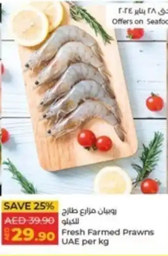 Lulu Hypermarket Fresh Farmed Prawns per kg offer