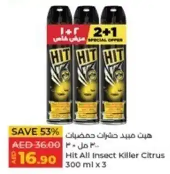 Lulu Hypermarket Hit All Insect Killer Citrus 300 ml x 3 offer