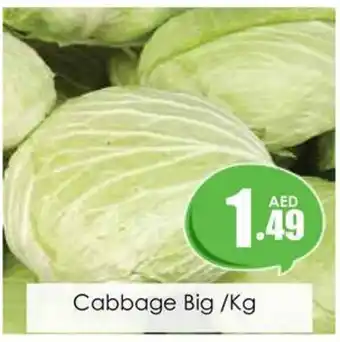 Amber Cabbage Big /Kg offer
