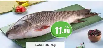 Amber Rohu Fish /Kg offer