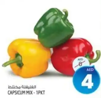 Safari Hypermarket CAPSICUM MIX - 1PKT offer