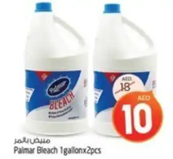 Safari Hypermarket Palmar Bleach 1gallonx2pcs offer
