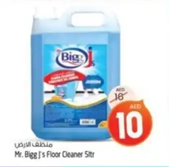 Safari Hypermarket Mr. Bigg's Floor Cleaner 5ltr offer