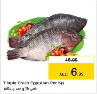 Last Chance Tilapia fresh egyptian per kg offer
