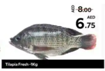 Safari Hypermarket Tilapia Fresh-1Kg offer