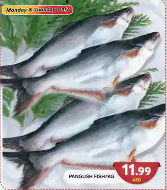 Grand Hyper Market PANGUSH FISH/KG offer