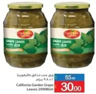 Ajman Market California Garden Grape Leaves 2x908gm offer