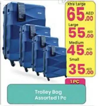 Everyday Center Trolley Bag Assorted 1 Pc Small offer