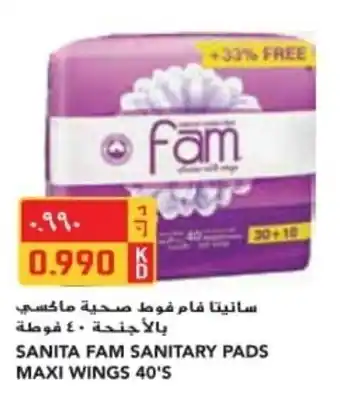 Grand Mall Sharjah SANITA FAM SANITARY PADS MAXI WINGS 40's offer