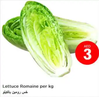 Nesto Lettuce Romaine per kg offer
