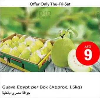 Nesto Guava Egypt per Box (Approx. 1.5kg) offer