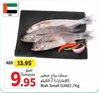 Union Coop Biah Small (UAE) /Kg offer