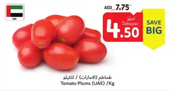 Union Coop Tomato Plums (UAE) /Kg offer