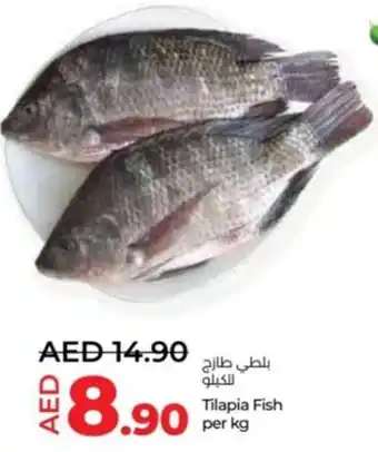 Lulu Hypermarket Tilapia Fish per kg offer