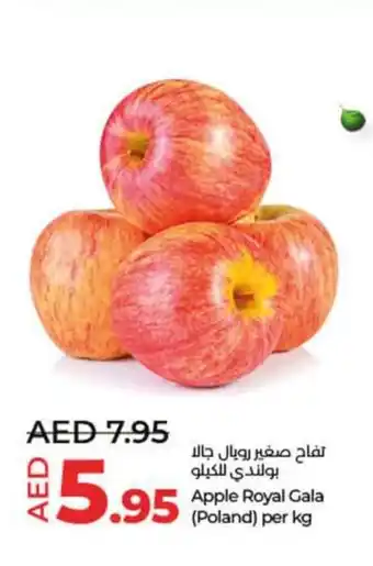 Lulu Hypermarket Apple Royal Gala (Poland) per kg offer