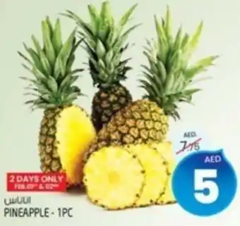 Safari Hypermarket PINEAPPLE 1PC offer