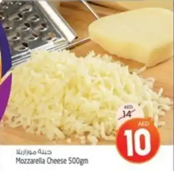 Safari Hypermarket Mozzarella Cheese 500gm offer