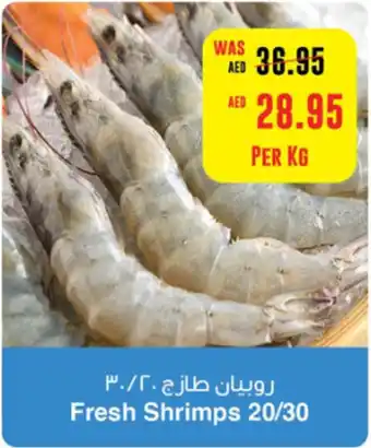 Spar Fresh Shrimps 20/30 offer