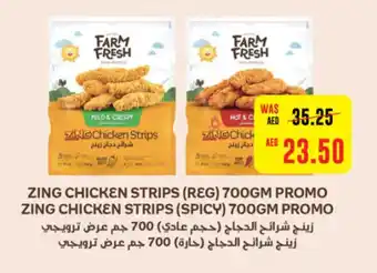 Spar ZING CHICKEN STRIPS (REG) 700GM PROMO ZING CHICKEN STRIPS (SPICY) 700GM PROMO offer