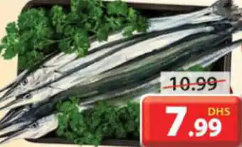 Grand Mall Sharjah Fresh kolan / KG offer
