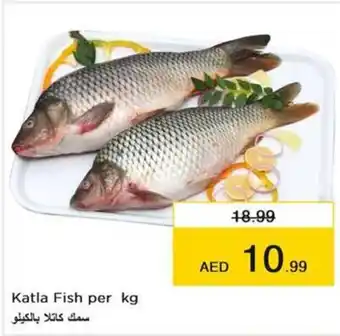 Nesto Katla Fish offer