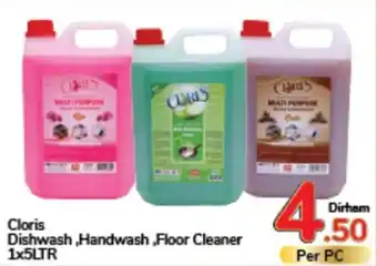 Day To Day Cloris Dishwash ,Handwash ,Floor Cleaner 1 x 5ltr offer
