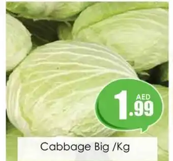 Amber Cabbage Big /Kg offer