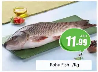 Amber Rohu Fish /Kg offer