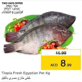 Nesto Tilapia Fresh Egyptian Per Kg offer