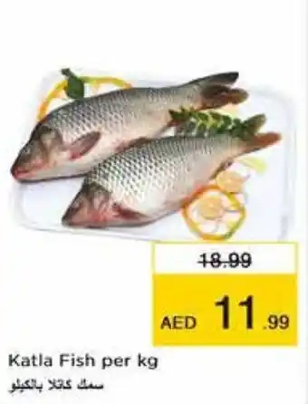 Nesto Katla Fish per kg offer