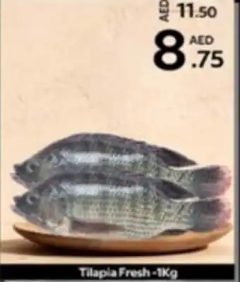 Safari Hypermarket Tilapia Fresh-1Kg offer