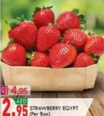 KM Trading STRAWBERRY EGYPT offer