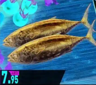 KM Trading TUNA SMALL (Per kg) offer