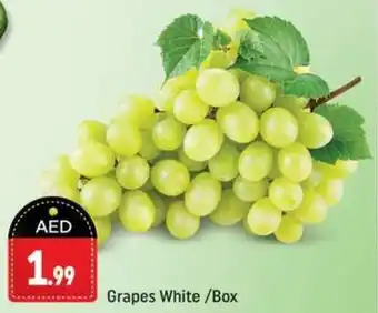 Shaklan Grapes White/Box offer