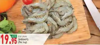 KM Trading SHRIMPS Per kg offer